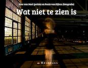 Wat niet te zien is - Kees van Meel (ISBN 9789491883729)