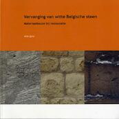 Vervanging van witte Belgische steen - W.J. Quist (ISBN 9789053353714)