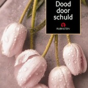 Dood door schuld - Tineke Beishuizen (ISBN 9789047603986)