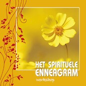 Het spirituele Enneagram - Willem Jan van de Wetering (ISBN 9789461491800)