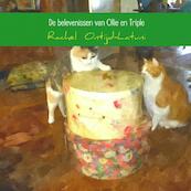 De belevenissen van Ollie en Triple - Rachel Ontijd-Latuni (ISBN 9789402130928)