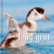 Jong grut - Marcel van Kammen (ISBN 9789492052155)