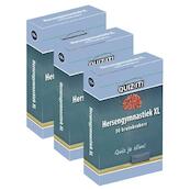 QUIZ IT - Hersengymnastiek XL, 3ex. - QT313 - (ISBN 9789086643882)