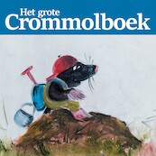Het grote Crommolboek - Henk den Hartog (ISBN 9789463270670)
