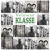 Veluwse Klasse - Willem Beemers, Anne Van der Meiden (ISBN 9789491826580)