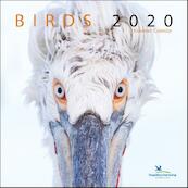 Birds maandkalender 2020, vogelbescherming - (ISBN 8716951310885)