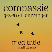 Compassie geven en ontvangen - Suzan van der Goes (ISBN 9789462552623)