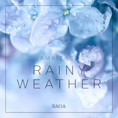 Ambience - Rainy Weather - Rasmus Broe (ISBN 9788726258516)