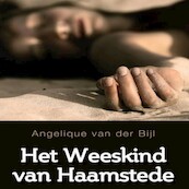 Het weeskind van Haamstede - Angelique van der Bijl (ISBN 9789462174610)