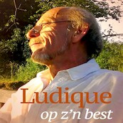 Ludique op z'n best - Ludique le Vert (ISBN 9789462175761)