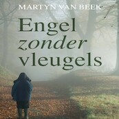 Engel zonder vleugels - Martyn van Beek (ISBN 9789462177932)