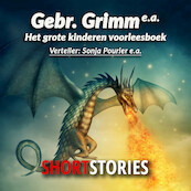 Het grote kinder voorleesboek - Gebroeders Grimm, Anneke Bloemen, Nelly Kunst, Clare Lennart (ISBN 9789464490398)