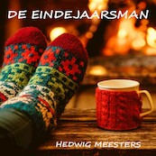 De eindejaarsman - Hedwig Meesters (ISBN 9789464490497)