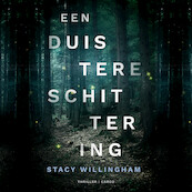 Een duistere schittering - Stacy Willingham (ISBN 9789403179315)