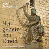 Het geheim van David - Henk Binnendijk (ISBN 9789043539197)