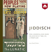 Jiddisch - David Cohen (ISBN 9789085302544)