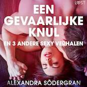 Een gevaarlijke knul en 3 andere sexy verhalen - Alexandra Södergran (ISBN 9788728181539)