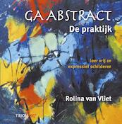 Ga Abstract, de praktijk - Rolina van Vliet (ISBN 9789043913232)