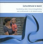 Handleiding video-hometraining in adoptienazorg - Anny Havermans, Corinne Verheule, Bert Prinsen (ISBN 9789088503641)