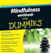 Mindfulness werkboek voor Dummies - Shamash Alidina, Joelle Jane Marshall (ISBN 9789043028141)