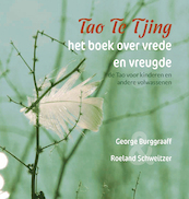 Tao Te Tjing, het boek over vrede en vreugde - Roeland Schweitzer (ISBN 9789492421951)