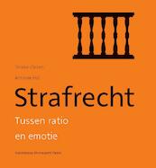 Strafrecht - Tineke Cleiren, Antoine Hol (ISBN 9789048516001)