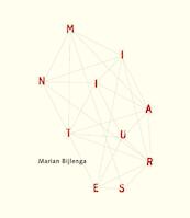 Miniatures - Marian Bijlenga, Jack Lenor Larsen (ISBN 9789462261143)