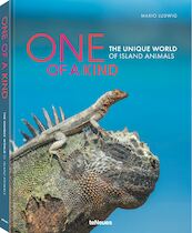 One of a Kind - Mario Ludwig (ISBN 9783961713905)