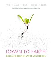 Down to earth - Sacha de Boer, Jacob-Jan Boerma (ISBN 9789000332816)