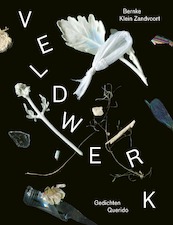 Veldwerk - Bernke Klein Zandvoort (ISBN 9789021415413)