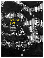 Schokbos - Annelie David (ISBN 9789492068385)