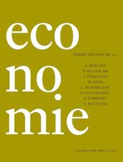 Economie 2013 - L. Berlage, P. de Grauwe, J. Eyckmans, Marluce Goos, E. Schokkaert, P. van Cayseele, F. Verboven, A. Watteyne (ISBN 9789058679598)