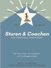 Sturen - Coachen? Hoe praktisch aanpakken - Erwin Herbrand Eric Van Poucke (ISBN 9789464357684)