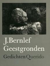 Geestgronden - J. Bernlef (ISBN 9789021448305)