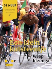 Een klein kutsteentje - Wiep Idzenga (ISBN 9789462251267)
