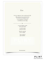 Plint 'Zon' set van 10 - Ester Naomi Perquin (ISBN 9789059307490)