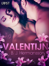 Valentijn – erotisch verhaal - B. J. Hermansson (ISBN 9788726206517)