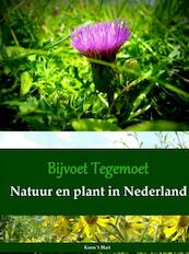 Bijvoet Tegemoet Natuur en plant in Nederland - Koen 't Hart (ISBN 9789402146776)