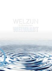 Welzijn is de nieuwe welvaart - Reinier Castelein (ISBN 9789081648189)