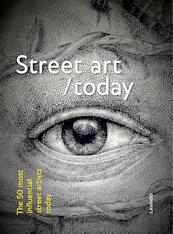 Street art today - Björn Van Poucke, Elise Luong (ISBN 9789401434058)