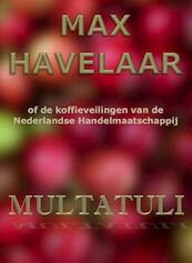 Max Havelaar of de koffieveilingen van de Nederlandse Handelmaatschappij - Multatuli (ISBN 9789492228086)