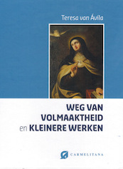 Weg van volmaaktheid en kleinere werken - Teresa van Avila (ISBN 9789076671918)