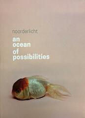 An ocean of possibilities - Hester Keijser, Bert Platzer (ISBN 9789076703596)