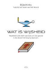 Wat is wijsheid - AllemiaZ (ISBN 9789464062335)