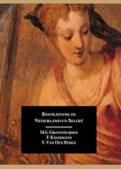 Bestraffing in Nederland en Belgie - M.S. Groenhuijsen, T. Kooijmans, Y. van den Berge (ISBN 9789462400412)