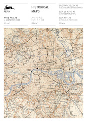 Historical Maps - Pepin van Roojen (ISBN 9789460093357)