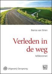 Verleden in de weg - grote letter uitgave - Bianca Van Strien (ISBN 9789461011237)