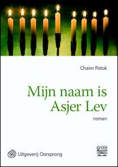 Mijn naam is Asher Lev - grote letter uitgave - Chaim Potok (ISBN 9789461011404)