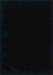 Black Celebration - M. Doolaard, E. Min (ISBN 9789078068051)