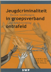 Jeugdcriminaliteit in groepsverband ontrafeld - B.M.W.A. Beke, Balthazar Beke, A.Ph. van Wijk, H.B. Ferwerda (ISBN 9789066653825)